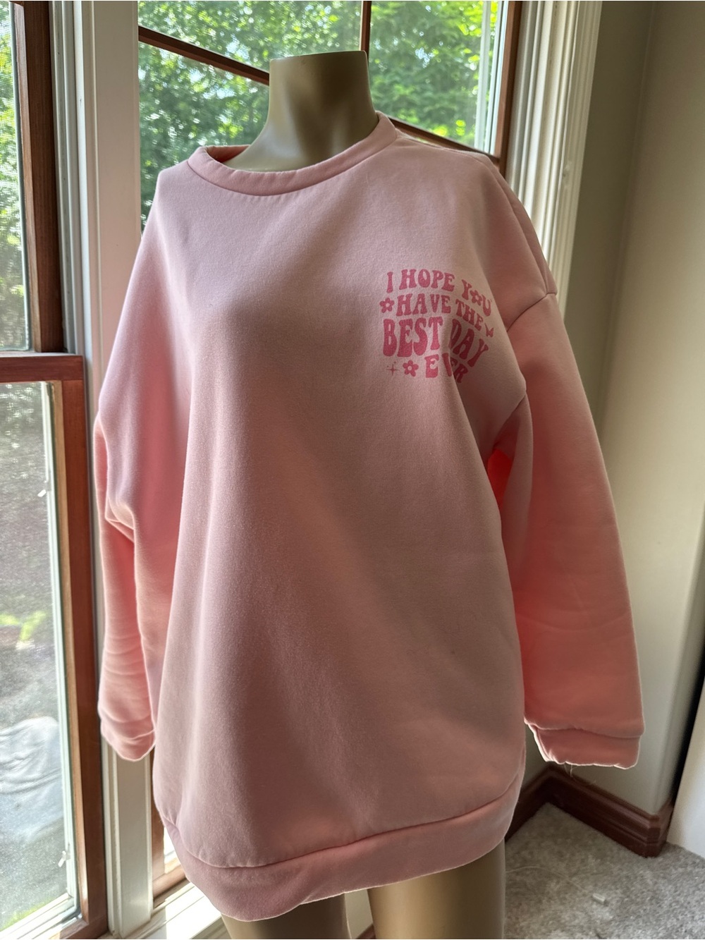 SHEIN Light Pink Fleece-Lined Crewneck Sweatshirt